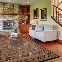 Concord Global Trading Persian Classics CollectionPanel Area Rug