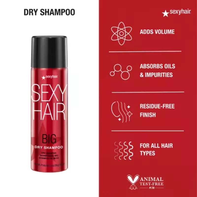 Big Sexy Hair Dry Shampoo 3.4 oz