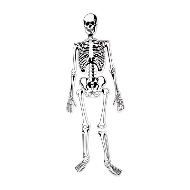 Learning Resources Skeleton Foam Floor Puzzle Discovery Toy