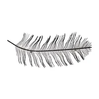 Peacock Feather Decor Animals Metal Wall Art