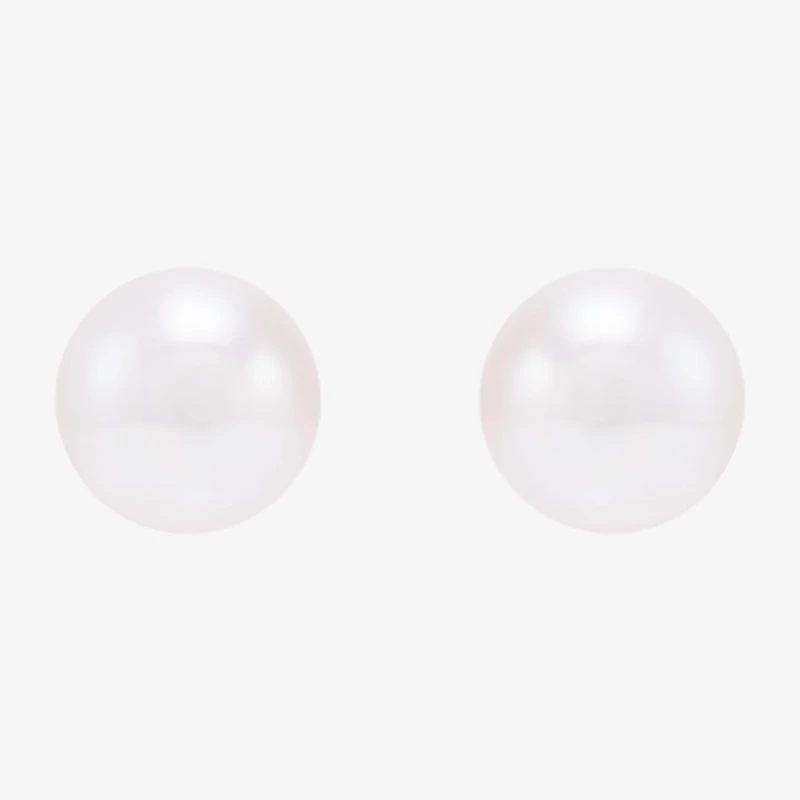 Certified Sofia™ Cultured Freshwater Pearl 5-5.5mm 10K Gold Stud Earrings