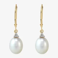 Certified Sofia™ Cultured Freshwater Pearl 14K Yellow Gold Earrings