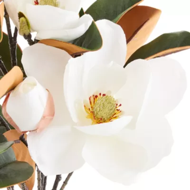 Linden Street Magnolia Floral Arrangement