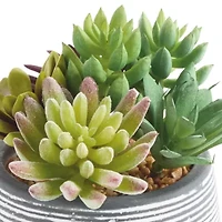 Linden Street 6in Mixed Succulent Artificial Plant