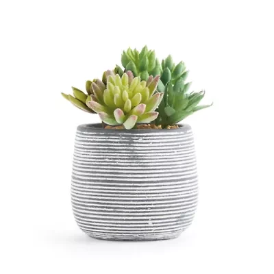 Linden Street 6in Mixed Succulent Artificial Plant