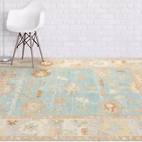 Amer Rugs Bethleham Issa Tropical Bordered Indoor Outdoor Rectangular Accent Rug