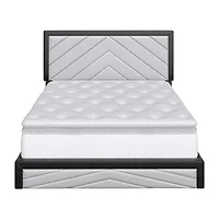 Ace Upholstered Platform Bed