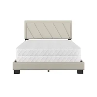 Delainey Upholstered Platform Bed
