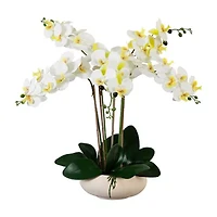 Nearly Natural 23in. White Phalaenopsis Orchid Floral Arrangement