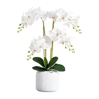 Nearly Natural 26in. White Phalaenopsis Orchid Floral Arrangement