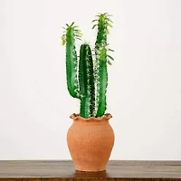 Nearly Natural 28in. Green Cactus Artificial Plant