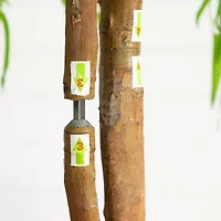 Nearly Natural 5ft. Green Willow Artificial Tree