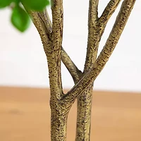 Nearly Natural 5ft. Green Enkianthus Artificial Tree