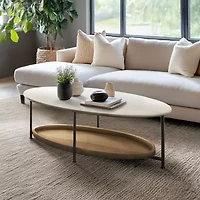 Madison Park Beauchamp Living Room Collection Coffee Table
