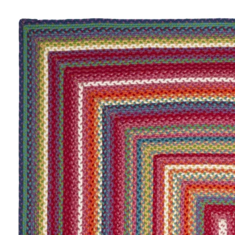 Safavieh Kyran Bordered Braided Rug