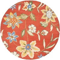 Safavieh Mana Hand Hooked Area Rug
