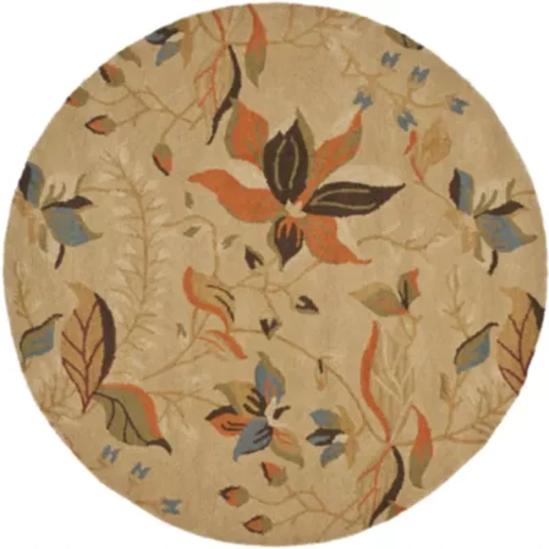 Safavieh Rana Hand Hooked Area Rug