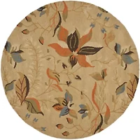 Safavieh Rana Hand Hooked Area Rug
