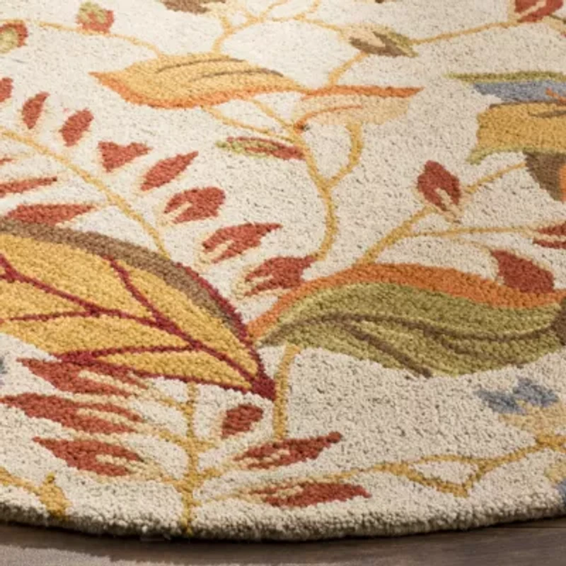 Safavieh Rana Hand Hooked Area Rug