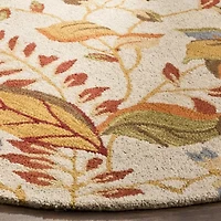 Safavieh Rana Hand Hooked Area Rug