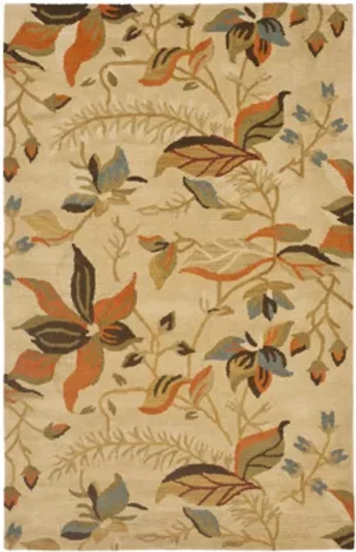 Safavieh Rana Hand Hooked Area Rug