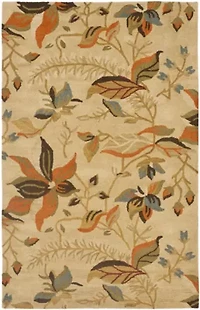 Safavieh Rana Hand Hooked Area Rug