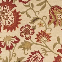 Safavieh Paxton Hand Hooked Area Rug