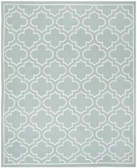 Safavieh Wayra Hand Woven Flat Weave Area Rug