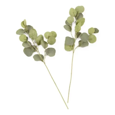 Set of 2 Linden Street 24" Eucalyptus Dollar Vase Filler