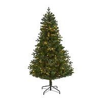 Nearly Natural 6 Foot Vermont Fir With 250 Clear Led Lights Pre-Lit Artificial Christmas Tree
