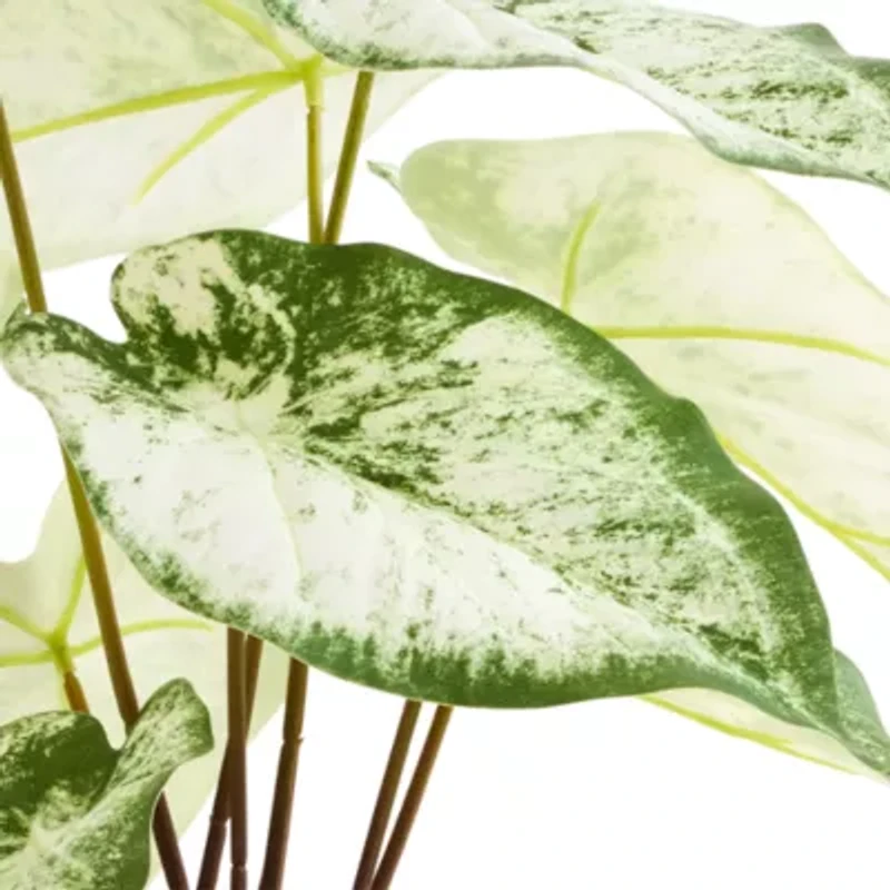 Linden Street 16.5in White Philodendron Artificial Plant