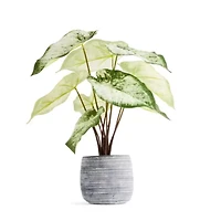 Linden Street 16.5in White Philodendron Artificial Plant