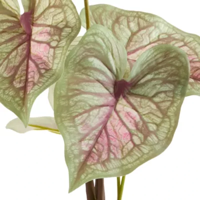 Linden Street 29in Candyland Caladium Artificial Plant