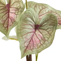 Linden Street 29in Candyland Caladium Artificial Plant