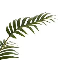 Linden Street 48in Tropical Palm Indoor Artificial Tree