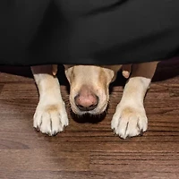 Martex Multi Pleat 15" Bed Skirt