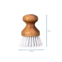 Home Expressions Scrub Brush