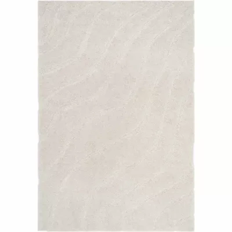 Safavieh Adam Shag Area Rug