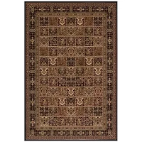 Concord Global Trading Persian Classics CollectionPanel Area Rug