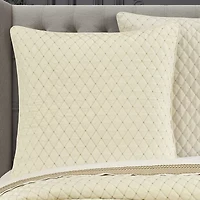 Queen Street Gabriel Winter White Embellished Euro Sham