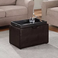 Designs 4 Comfort Accent Storage Ottoman