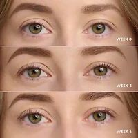 Velour Lashes Lash Serum Full