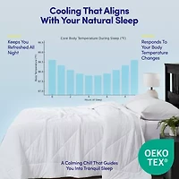 Sweet Home Collection Cooling Oversized All-Season Reversible Single Wrinkle Resistant Comforter
