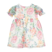 Rare Editions Baby Girls Sleeveless Puffed Sleeve Flower Girl Fit + Flare Dress