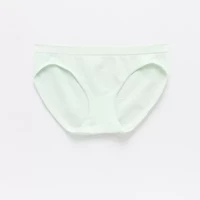 Ambrielle Seamless Bikini Panty