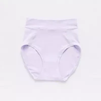 Ambrielle Comfort Stretch Brief Panty