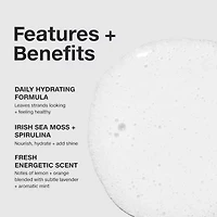 Paul Mitchell Sheer Hydration Shampoo 33.8 oz.