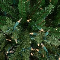 Northlight Grande Spruce Artificial  Clear Lights 6 Foot Pre-Lit Christmas Tree