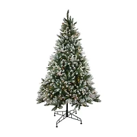 Northlight Medium Frosted Sierra Artificial Clear Lights 6 1/2 Foot Pre-Lit Fir Christmas Tree