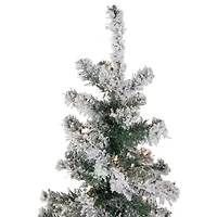 Northlight Slim Artificial  Clear Lights 6 Foot Pre-Lit Pine Christmas Tree